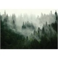 Wallarena Fototapete Wald Bäume - Mehrfarbig - Modern - Vlies - Wohnzimmer, glatt, (7 St), 350x250cm