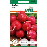 SAMEN PFANN Gemüsesamen Radies, Raxe - Radieschen-Samen rot, zart nicht pelzig Frühjahr-Herbst, Raphanus sativus