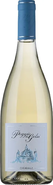 Falesco Poggio dei Gelsi Est Est Est di Montefiascone DOP Jg. 2024