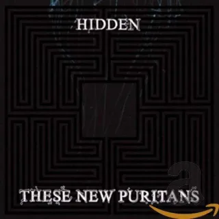 Hidden [Audio CD] These New Puritans