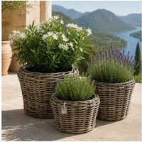 Van der Leeden Blumentopf Pflanzkorb Pflanzentreppe Rattan 3tlg Korb Pflanzkübel (Set, 3 St., Packung), Indoor & Outdoor, 3 Größen, Rattan, Handmade, ohne Wasserablauf