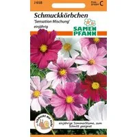 SAMEN PFANN Blumensamen Schmuckkörbchen, Cosmea Mischung - Saatgut Samen, Cosmos bipinnatus