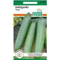 SAMEN PFANN Gemüsesamen Salatgurke, Tanja - Gurken-Samen Saatgut Samen, Cucumis sativus