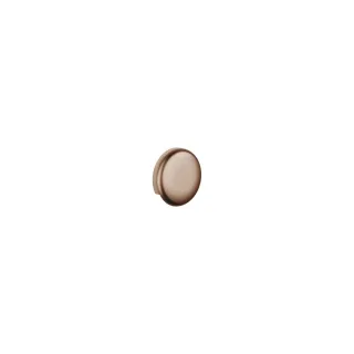 Dornbracht Rohrunterbrecher SERIENNEUTRAL 36150970 Bronze gebürstet, 36150970-42 36150970-42