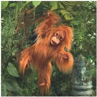 Folkmanis Handpuppen Handpuppe Folkmanis Baby Orang-Utan