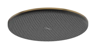 Hansgrohe Kopfbrause Raindance Alive S 300 1jet EcoSmart+ Brushed Bronze,24523140 24523140