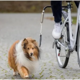 Trixie Hunde Biker-Set