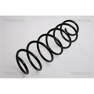 Triscan Feder vorne Citroen C3 87502864