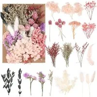 Trockenblume Getrocknete Blumen gemischt für DIY-Projekte & Bastelarbeiten, LuxusKollektion