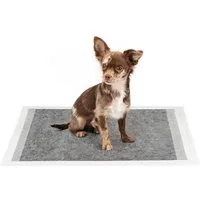 lionto Hundetoilette Welpenunterlagen mit Aktivkohle saugstark, 6-lagig mit Aktivkohle & Auslaufschutz, saugstark & geruchshemmend