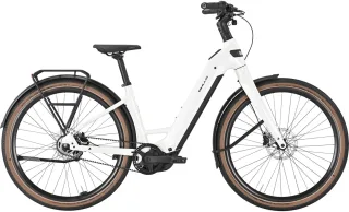 E-Bike  - Bulls Sturmvogel EVO . 2026   / Rahmenhöhe: 43 cm / M / 150 - 160 cm  - 43 cm