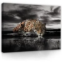 Wallarena Leinwandbild Tiger Schwarz - Modern - Schlafzimmer, Jaguar, 60x40x2cm