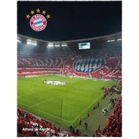 BERONAGE Kinderteppich FC Bayern München Teppich Allianz Arena 100x120 cm, rechteckig, Höhe: 10 mm, rutschfest