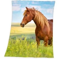 Brilliant Badetuch / Pferde / 75x150cm / 100% Baumwolle, 100% Baumwolle