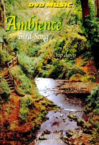 Chip Davis - Ambience Bird Song