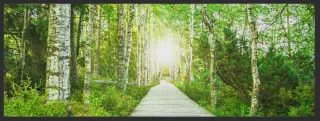 Läufer Waldweg 10270 | Größe: 75 cm x 120 cm