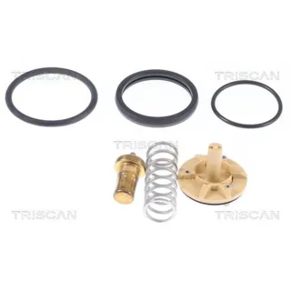 Triscan Thermostat Audi Seat Skoda VW 862033083