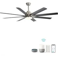 Rolipo Deckenventilator mit Beleuchtung, Fernbedienung und App,168 cm (66 Zoll), dimmbar, Gleichstrommotor, Deckenventilator für Terrasse, Wohnzimmer
