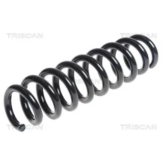 Triscan Feder hinten BMW X1 875011164