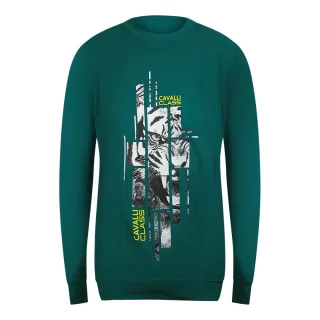 Cavalli Class - Grünes Ottanio-sweatshirt Mit Zersplittertem Tiger-print