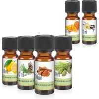 Höfer Chemie GmbH Duftöl Duftöl-Set Nr. 10 mit 6 Duftnoten