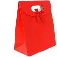 Yudu Geschenktüten 10er Geschenktaschen mit Klettverschluss Kartonstärke 12x6x16cm