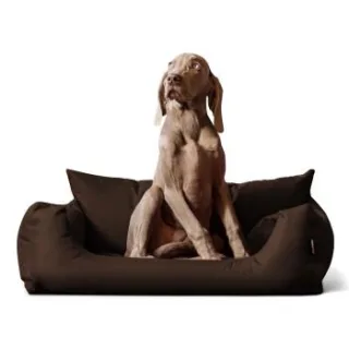 Tierlando NEMO Hundebett Hundesofa S M L Hundekorb Katzenbett 65 80 100cm braun 1 m, 25 cm, 80 cm