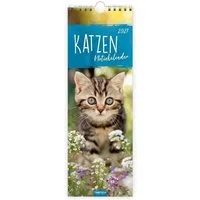 Trötsch Verlag Wandkalender TRÖTSCH - Streifenkalender Katzen 2027 Notizkalender