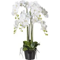 Kunstpflanze Orchidee, Creativ green, Höhe 90 cm
