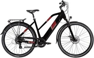 Zündapp "Z810" 8 Gang Shimano Altus RD-M310 Schaltwerk Kettenschaltung Heckmotor 250 W Pedelec, Elektrofahrrad für Damen und Herren