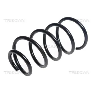 Triscan Feder vorne Mini 875011179