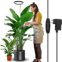 Rosnek Pflanzenlampe Vollspektrum 160 LEDs mit Timer & 9 Dimmstufen, Auto Ein/Aus, LED fest integriert, Ring-Design, höhenverstellbar 35–155 cm, für Indoor Pflanzen