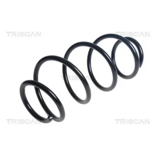 Triscan Feder vorne Peugeot 3008 875028299