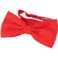 DonDon Fliege DonDon Edle Herren Fliege Schleife glänzend (Packung, 1-St) bereits gebunden, verstellbar, Seidenlook