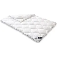 Irisette Microfaserbettdecke Steppbett Irisette Edition, Füllung: Markenhohlfaser irisette® Fill® - 100% Polyester, Bezug: weich und anschmiegsam, kochwaschbar bis 95°C, allergikergeeignet, preisbewusste Schläfer
