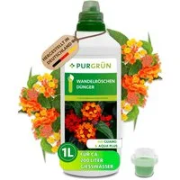 Purgrün Blumendünger Wandelröschen Dünger, NPK 8+8+6, für leuchtende Blüten, 1L, Flüssigdünger, 1-St., 1 Liter