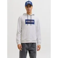 Jack & Jones Kapuzensweatshirt JJCOLE PRINT SWEAT HOOD UNB