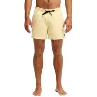 Quiksilver Boardshorts Everyday Solid Volley 15"
