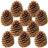 matches21 HOME & HOBBY Bastelnaturmaterial Große Tannen-Zapfen Streudeko braun 10 Stk. in 10-14 cm, (10-tlg), Weihnachten Deko-Zapfen zum Basteln und Weihnachtsbaum-Schmuck