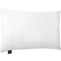 LILENO HOME Microfaserkissen - geeignet für Allergiker, in verschiedenen Größen - Made in Germany, Füllung: 100% Polyester, Rückenschläfer, Seitenschläfer, Bauchschläfer, Set, 1er Set, Kissen 30x50 cm mit Reißverschluss, als Bettkissen oder Dekokisse
