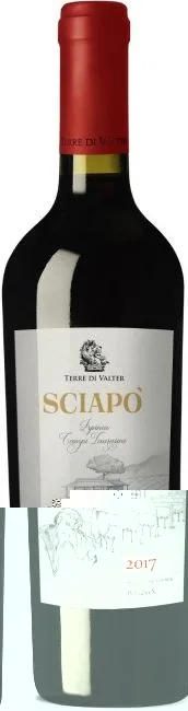 Terre di Valter Sciapo Irpinia Campi Taurasini DOC Jg. 2020