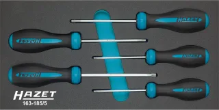 HAZET Schraubendreher-Satz HEXAnamic® Einlage 5-teilig - 163-185/5