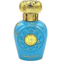 Lattafa Duft-Set Opulent Collection Opulent Dubai EDP + Parfümzerstäuber (leer) Set