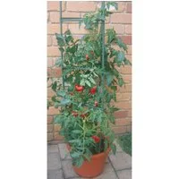 Gravidus Rankhilfe Tomatenkäfig Rankhilfe für Kletterpflanzen Gemüse und Blumen