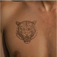 Inkster Schmuck-Tattoo Tiger Kopf Traditional Tattoo, wasserfestes temporäres Tattoo, 2 Wochen Halt