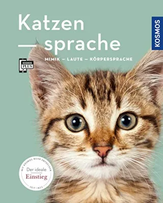 Katzensprache: Mimik Laute Körpersprache (Mein Tier)