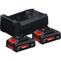EXPERT Starter-Set 2x EXBA 18V-40 + Dual-Voltage-Ladegerät GAL 12V/18V-80 schwarz, 2x Li-Ionen Akku 4Ah, AMPShare Alliance