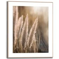 Reinders! Kunstdruck Pampas