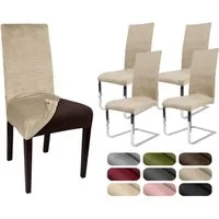 Beautex Stuhlhusse 4er Set LEA Stuhlhusse, elastische Uni Stretch-Husse Samt Mikrofaser