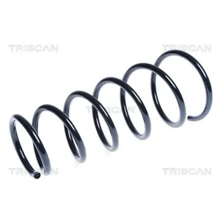 Triscan Feder vorne Fiat Sedici Suzuki Sx4 87506949